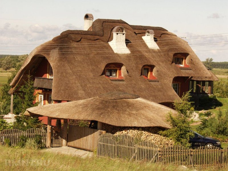 Дом из камыша Германия, дарс