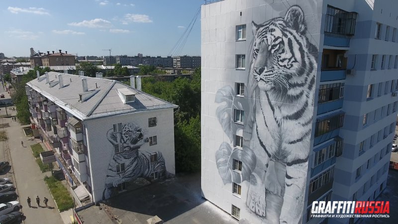 Стрит арт Курск