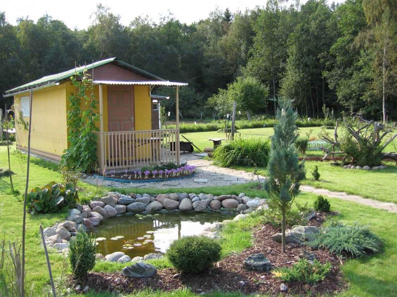 Tiny House с односкатной крышей