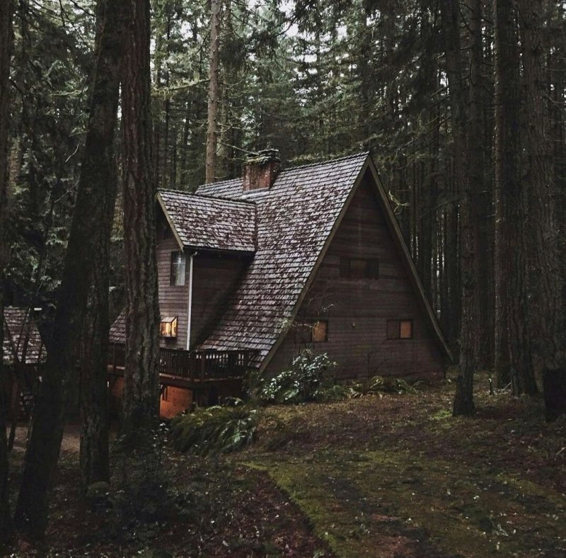 The Cabin in the Woods Хижина