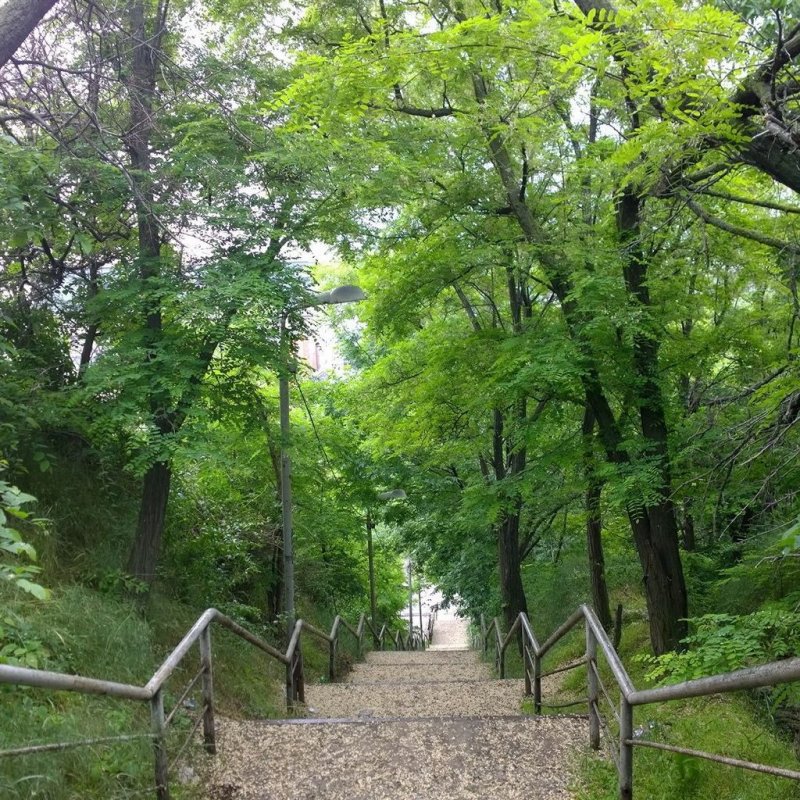 Море Таганрог лестница