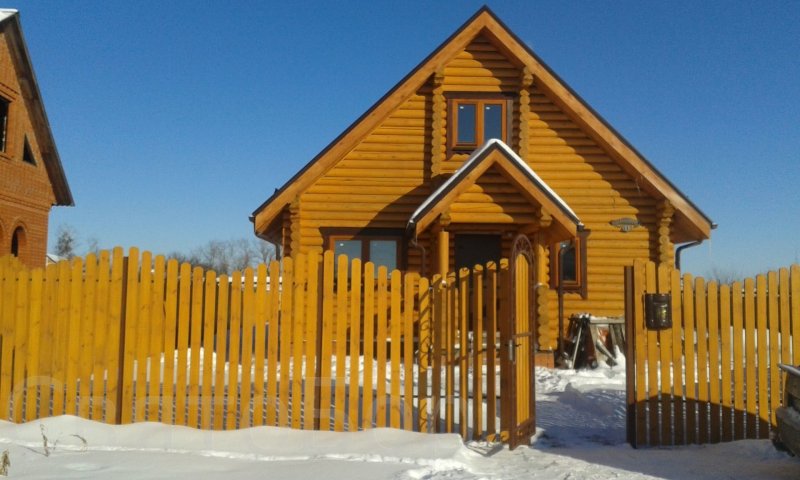 Белинка Топлазурь лиственница
