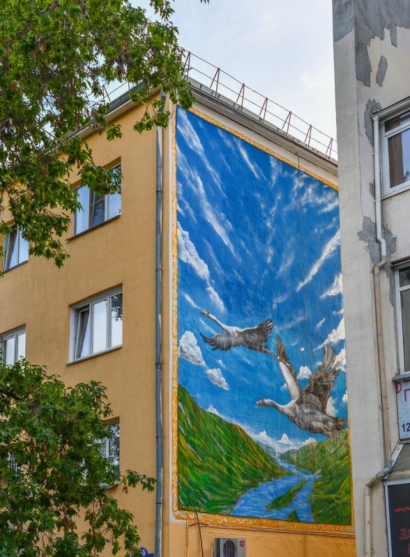 Левый торец дома