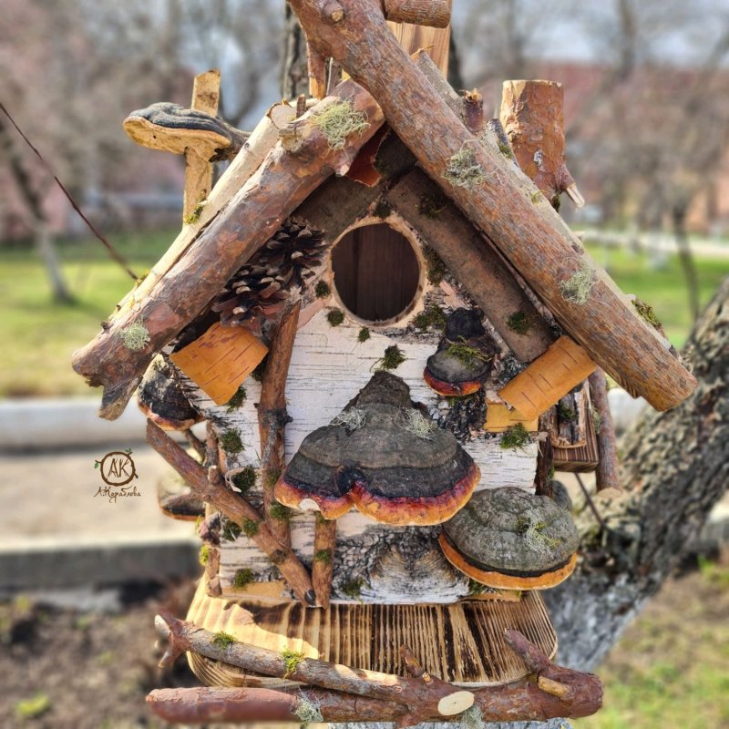 Бельчатник купить