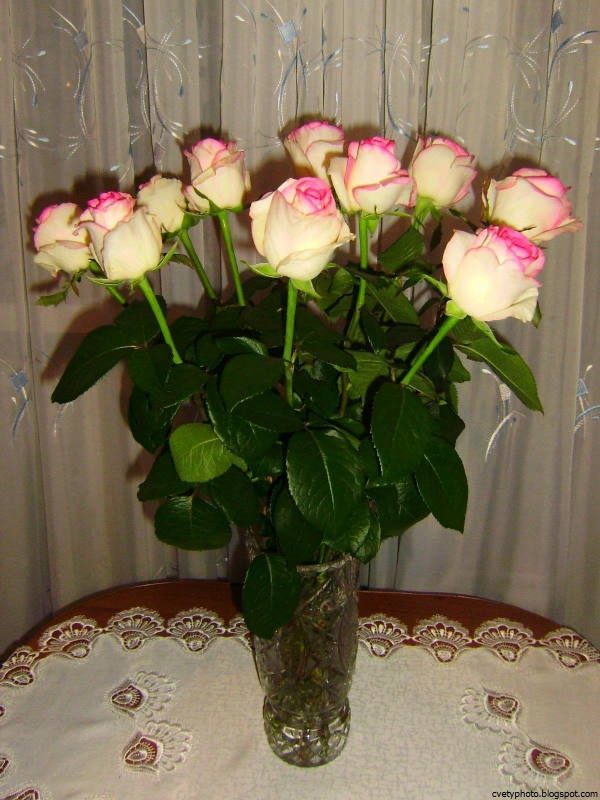 Букет роз домашние