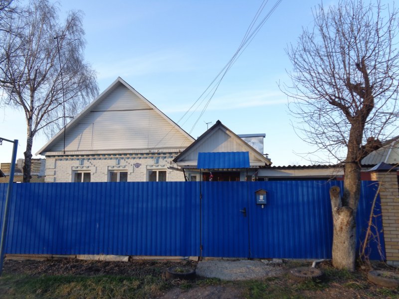 Частный дом в Брянске