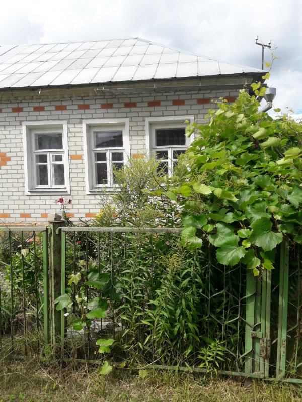 Брянск улица рассветов 4