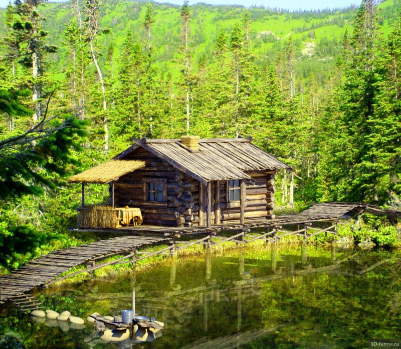 Лесные заимки в тайге