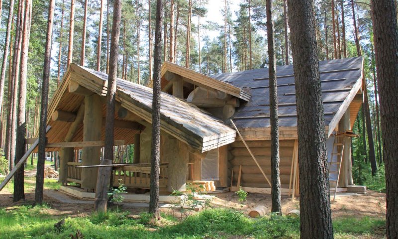 Дома в тайге
