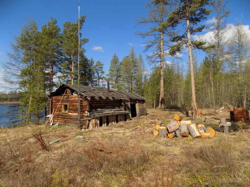 Лесные заимки в тайге