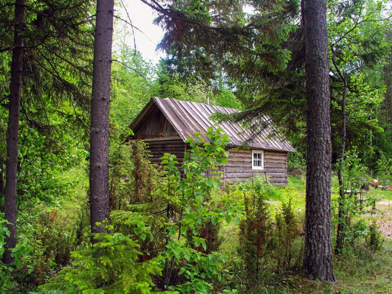 Лесная сторожка Таруса