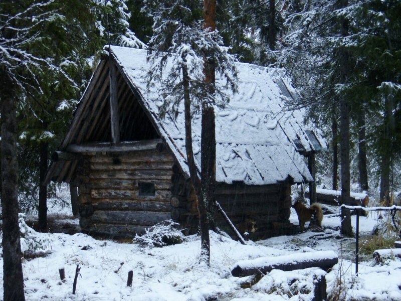 Домик лесника в тайге