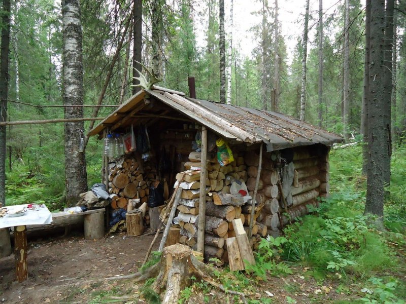 Лесное зимовье