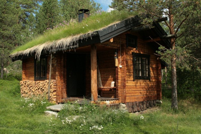 Тайга Хижина лесника