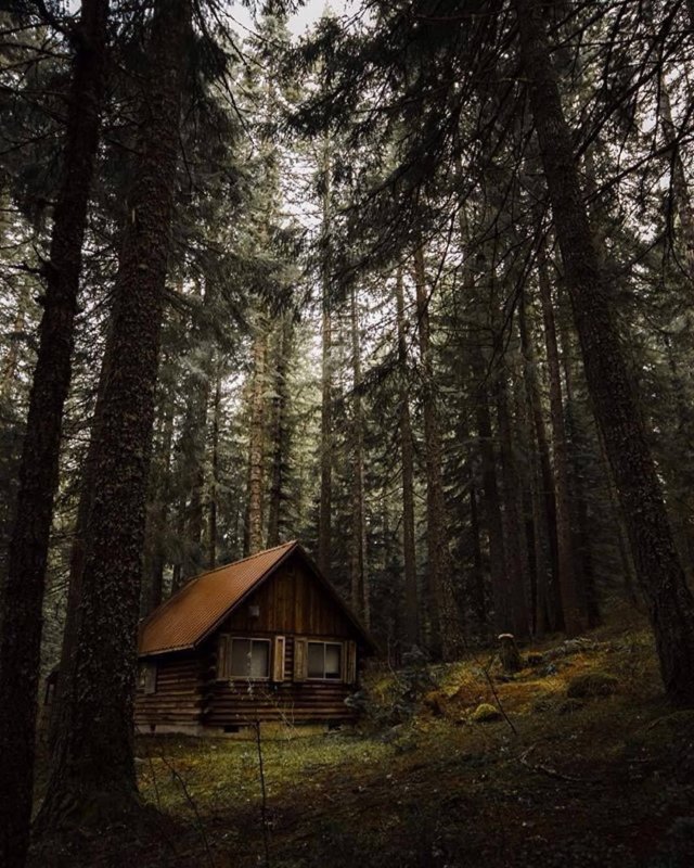 Хижина в тайге