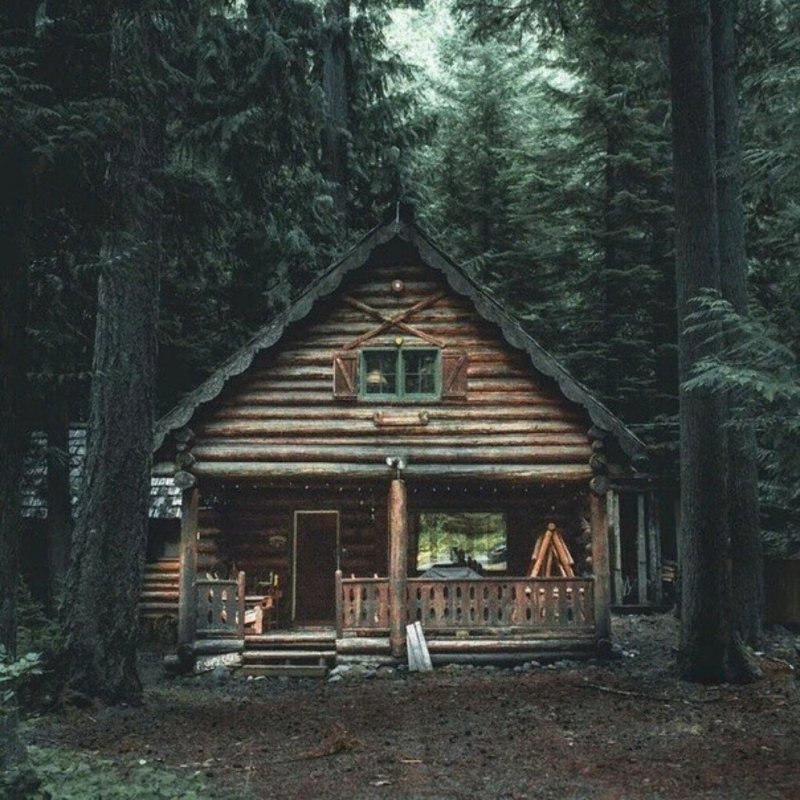 In the Cabin Woods Хижина в лесу Cabin