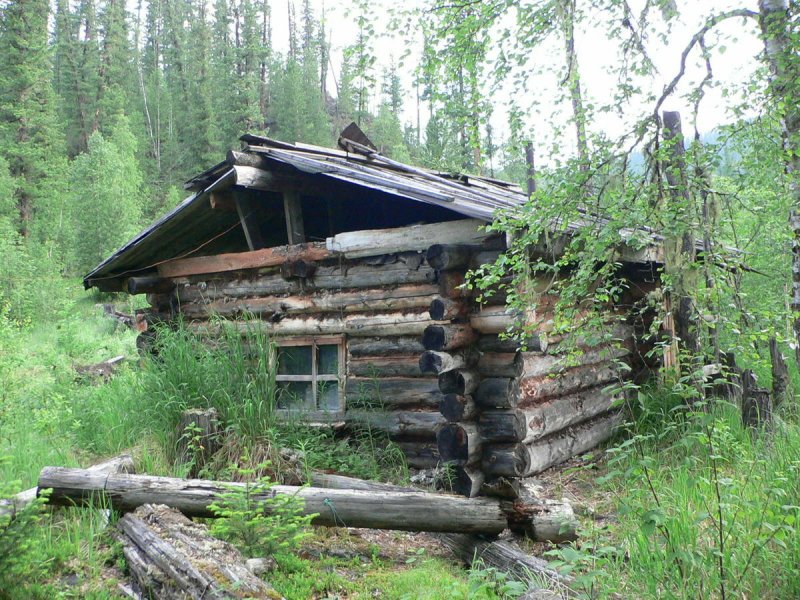 Таежные избушки в тайге