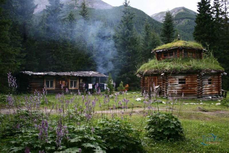 Дом отшельника в лесу