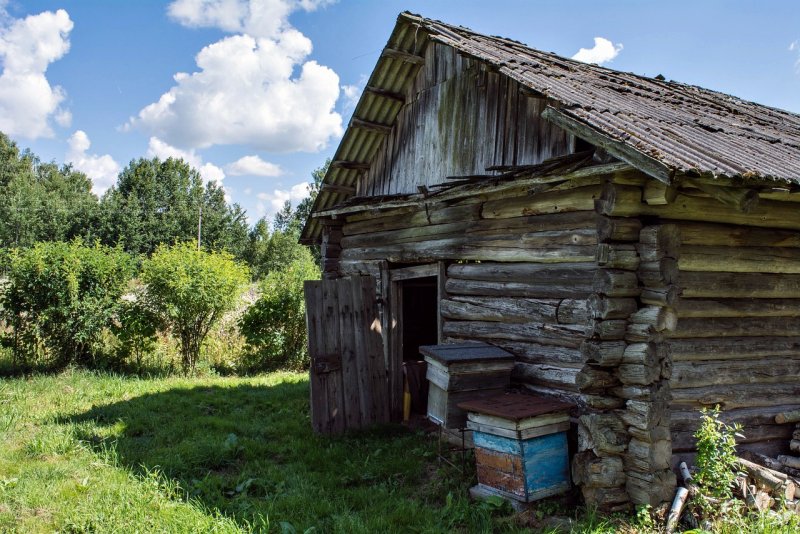 Село Высоково Яранский район