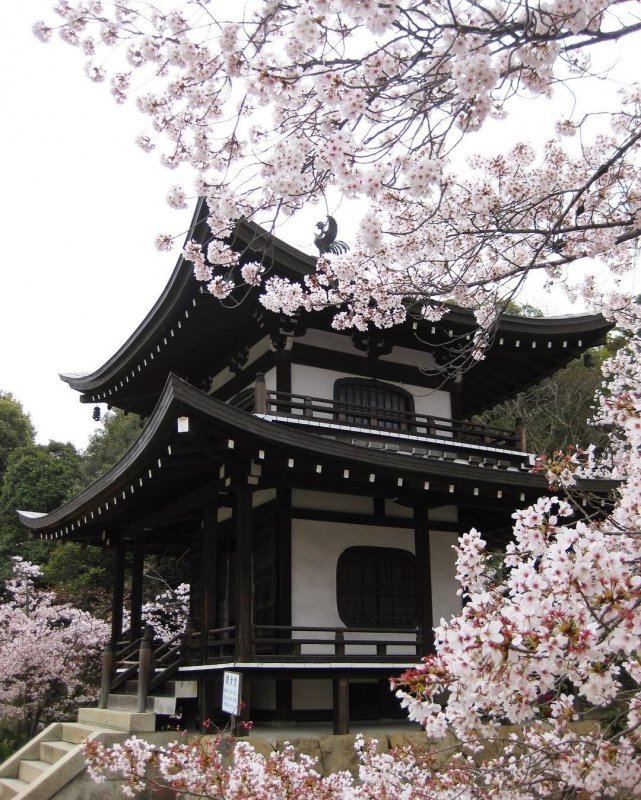 Aesthetic Japan храм
