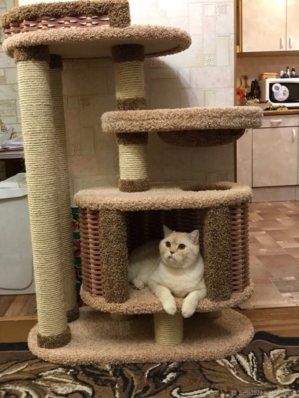 Домик для кошек