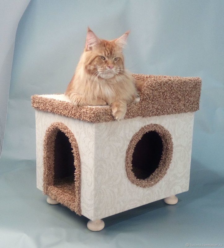 Кошачий домик