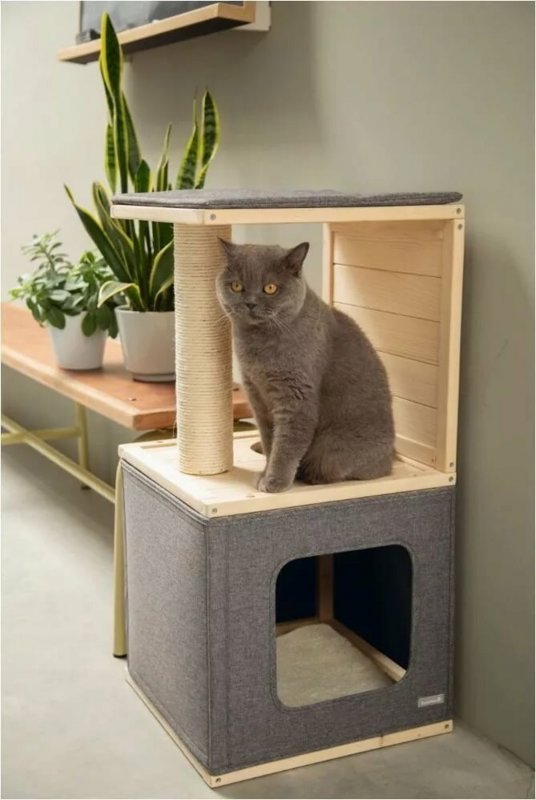 Домик для кота