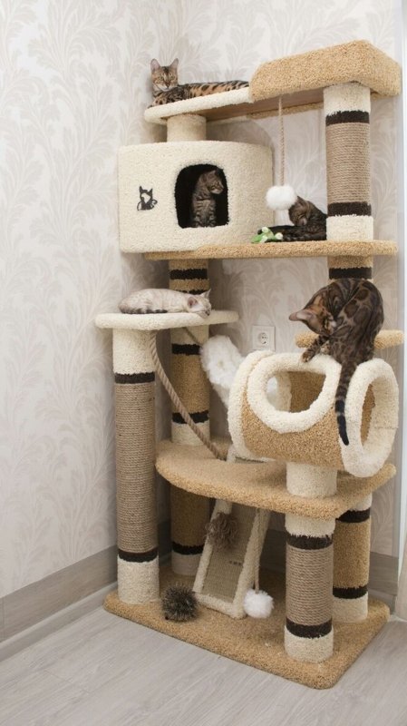 Домик для кота