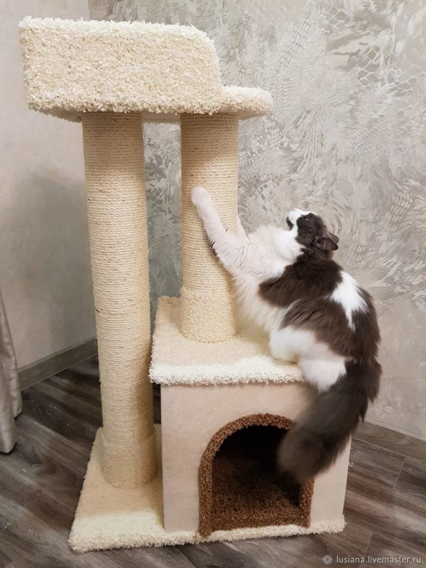 Маленький кошачий домик