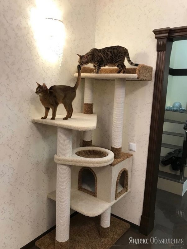 Кошкин дом для Мейн куна