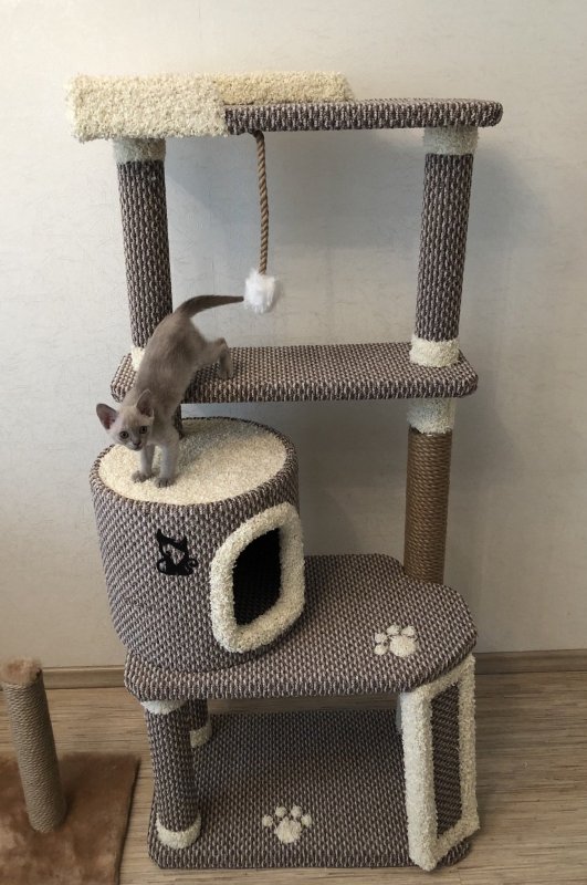 Trixie домик для кошки Madrid 240-270см 43901