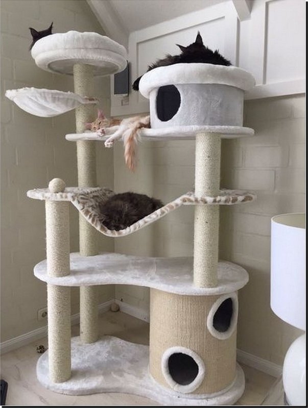 Многоэтажные домики для кошек