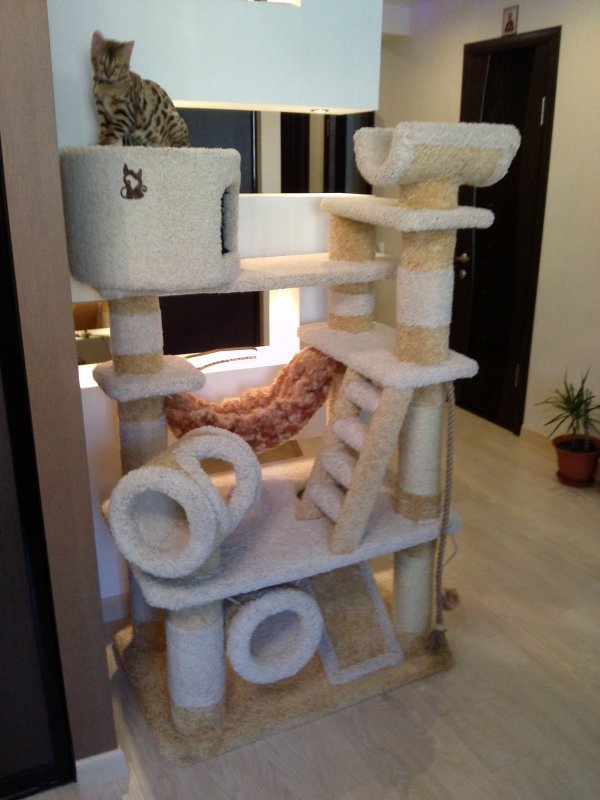 Дом для кошки