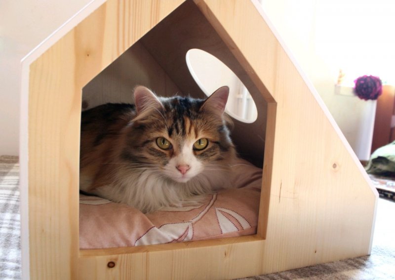 Деревянный домик для кота
