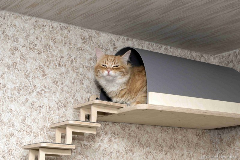 Настенные домики для кошек