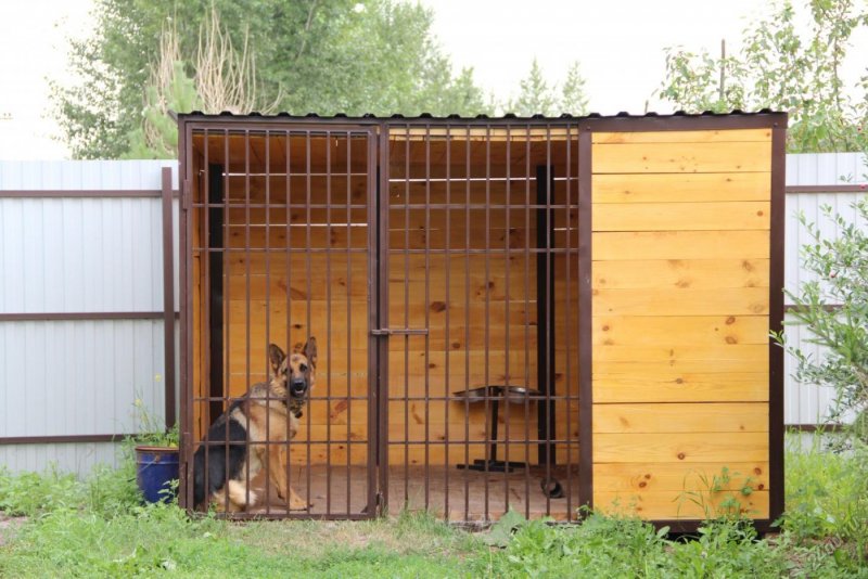 Вальер для немецкой овчарки