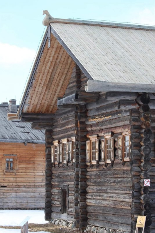 Сруб пятистенок 6х8