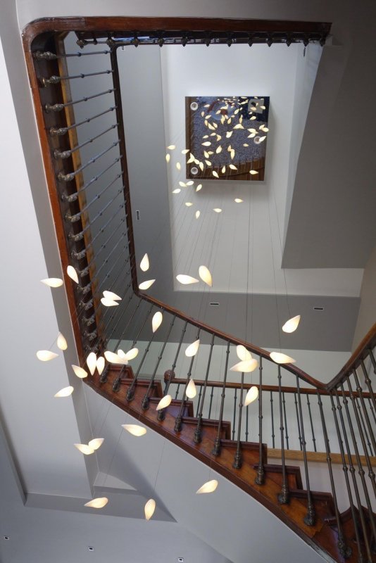 Smoon Birdie Light