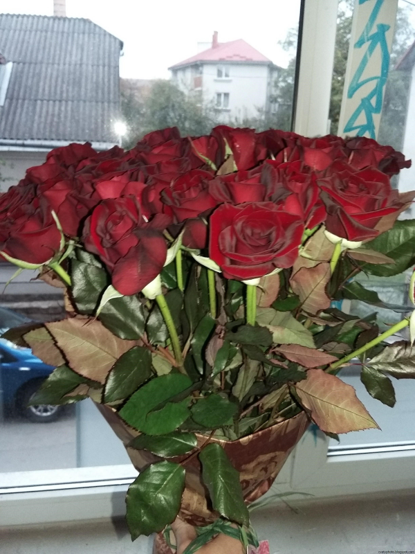 Букет домашних роз