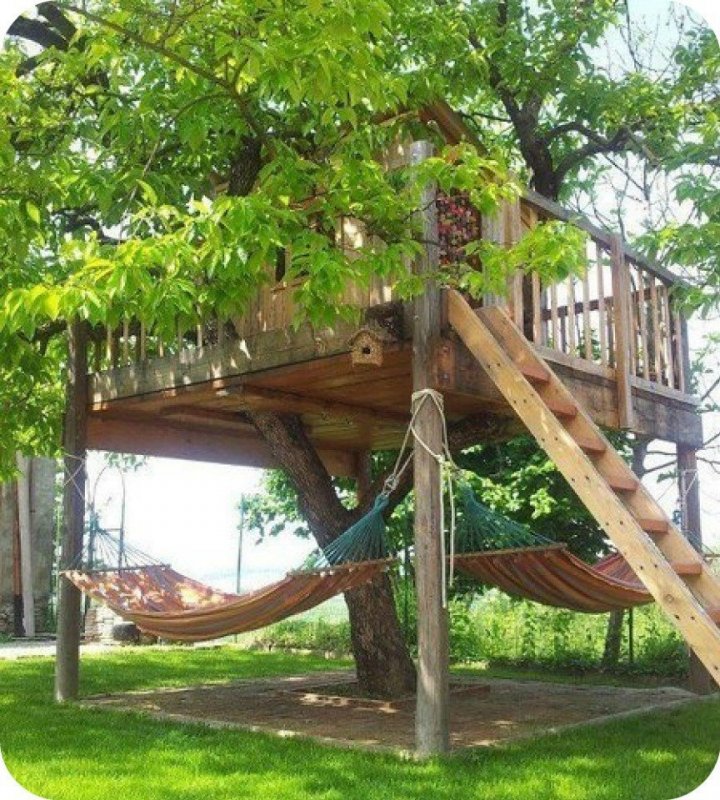 Площадка на дереве