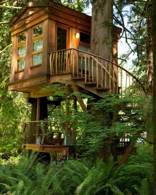 Treehouse домик на дереве