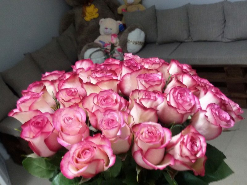 Голландские розы на кровати