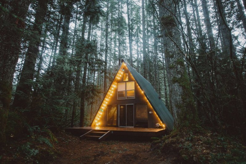 Forest House Хижина в лесу