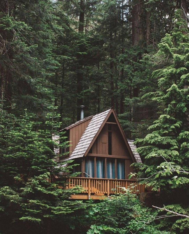 Forest House Терскол
