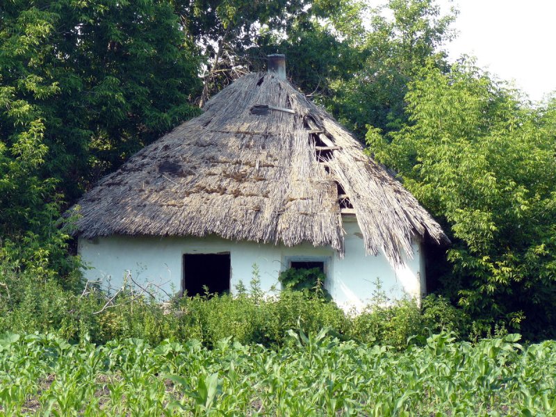 Мазанки Воронежская Губерния