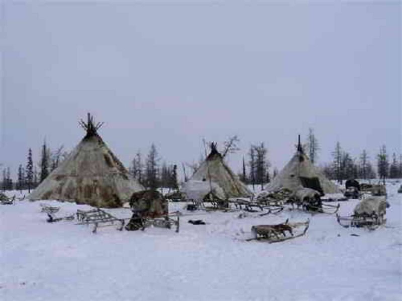 Чудо чум Ханты-Мансийск