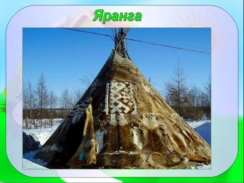Омск хаски парк юрта