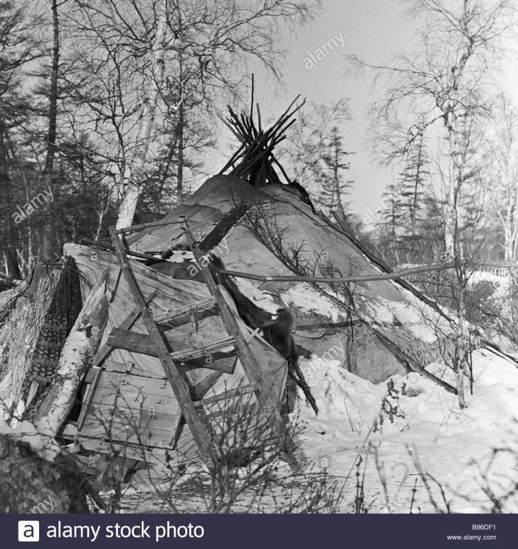 Ненцы-оленеводы кочевье
