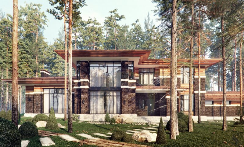 Дом в Репино студия 54