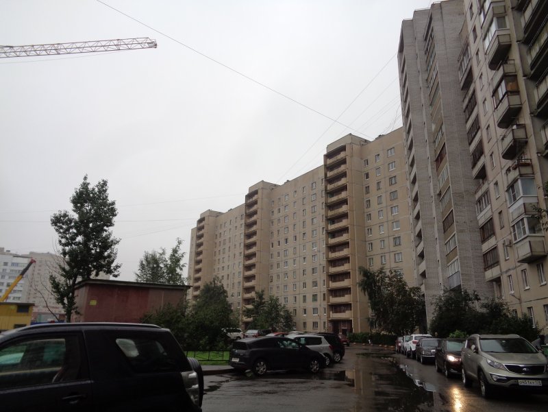 Камышовая 11